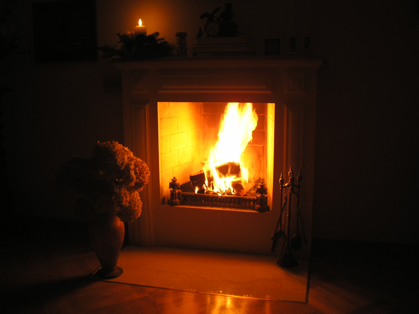 Wood burning fireplace